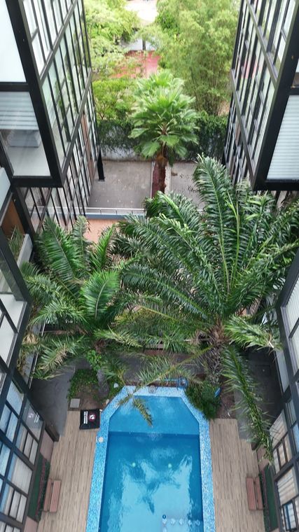 Patio central con alberca · vista 9 de 10